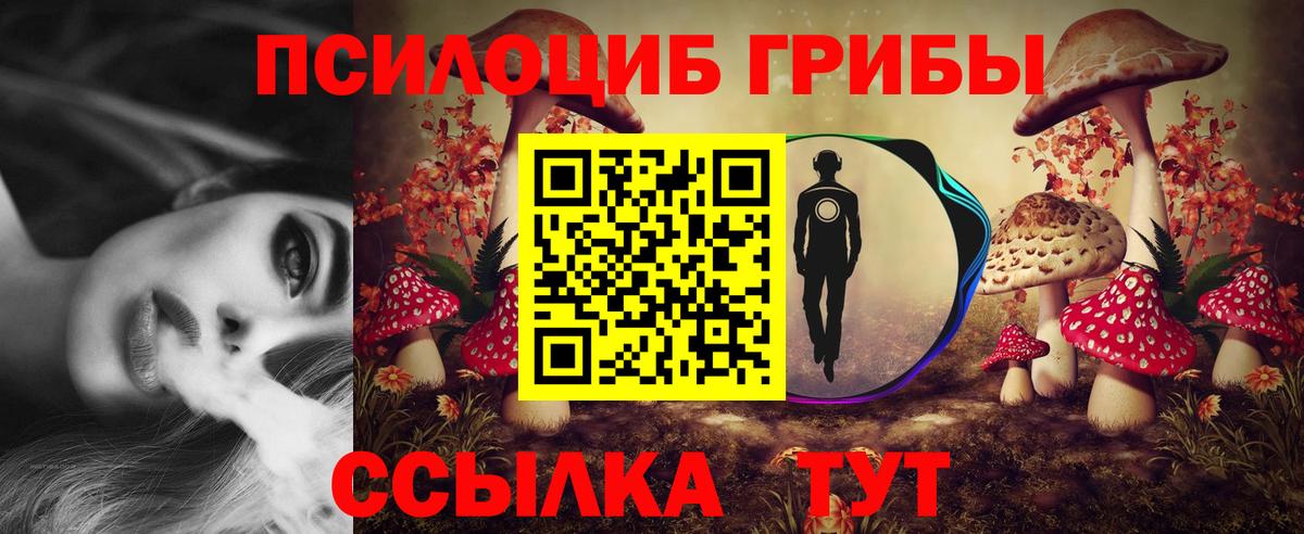 Псилоцибиновые грибы Cubensis Истра