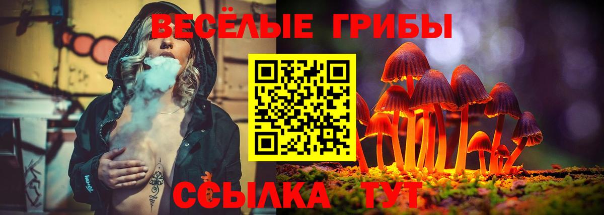Истра  Псилоцибиновые грибы Magic Shrooms  Вход с VPN 